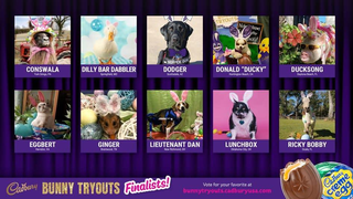 Cadbury announces this year’s Bunny Tryouts finalists, snubs my cat